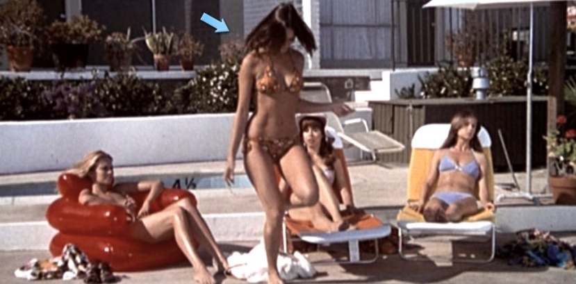 Barbara Leigh intime Fotos 91