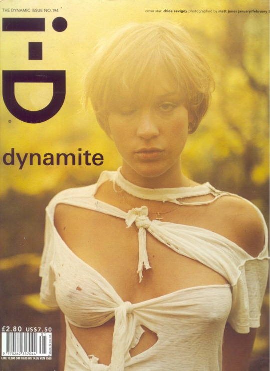 Chloe Stevens Sevigny intim Fotos 86