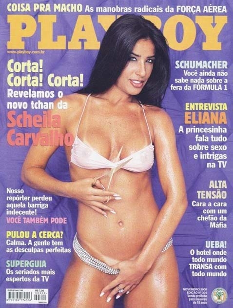 Scheila Carvalho Brüste