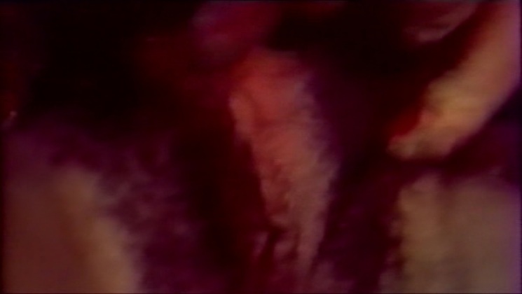 VeroNica Llimera Fotoblitze zwischen den Beinen 66